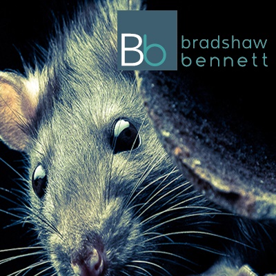starting out pest control isurance from bradshaw and bennett starting out pest control isurance from bradshaw and bennett